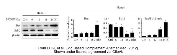 The WB analysis of Bcl-2 antibody [N1N2] was published by Li CJ and colleagues in the journal Evid Based Complement Alternat Med in 2012.PMID: 23091557